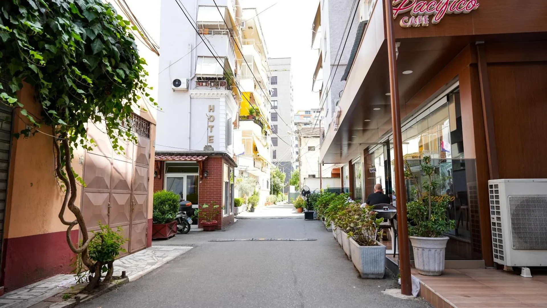 Cozy Apartment In The Heart Of Tirana !